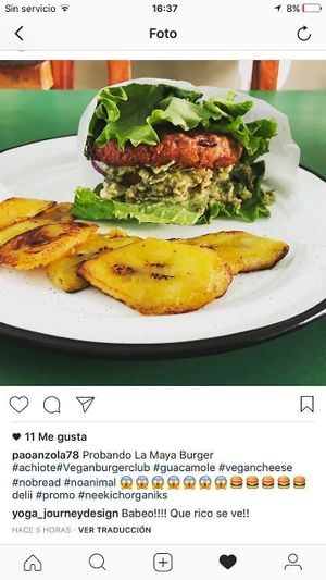 Vegan Burger at Neekich The Wise Rabbit in Merida