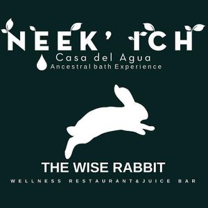 New concept new location..  at Neekich The Wise Rabbit in Merida
