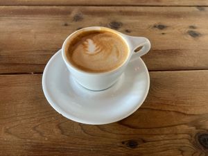 Oatmilk cappacino  at The Seed in Boca Raton