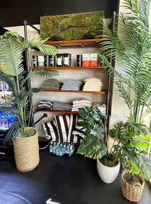Merchandise Shelf at The Seed in Boca Raton