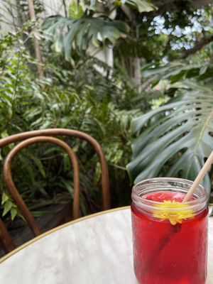   at Folk in Byron Bay