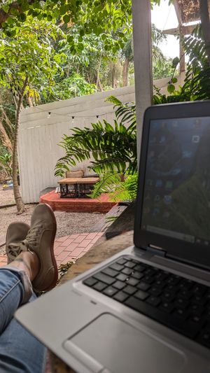Nice comfy space for work or relaxing. at Folk in Byron Bay