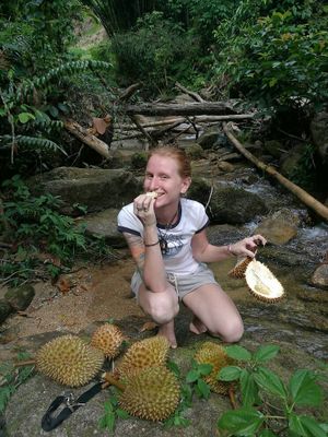 Durian waterfall day at U are Brilliant Homestay in Penang