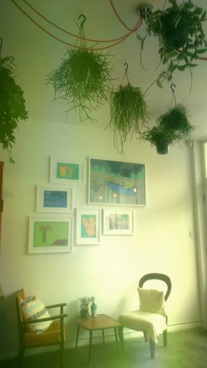 succulents at The Longhouse Cafe in Brighton