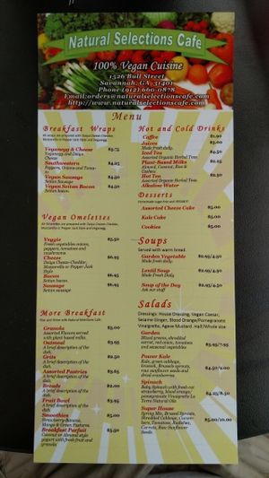 Menu at Natural Selections Cafe in Savannah