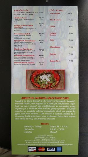 Menu at Natural Selections Cafe in Savannah