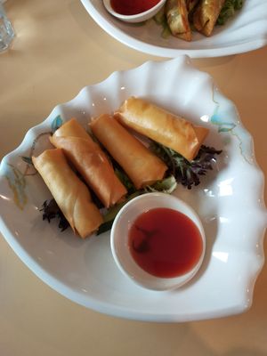 Spring Rolls at Vegie Bowl in Springvale