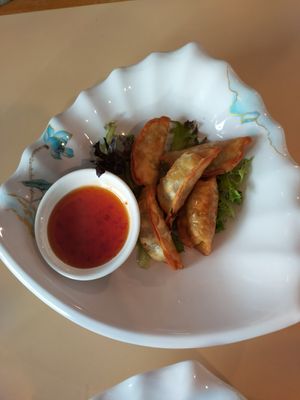 Dumplings at Vegie Bowl in Springvale