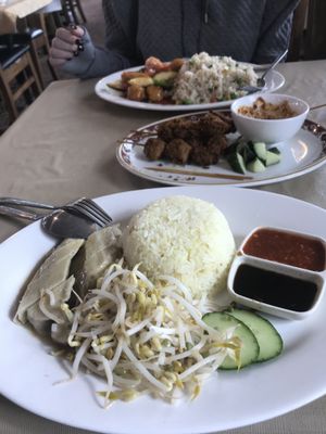 Hinanese Chicken, Satay Skewers, Sweet and Sour Pork at Vegie Bowl in Springvale