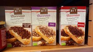 they should be vegan (i checked the ingredients) at De Aanzet in Amsterdam