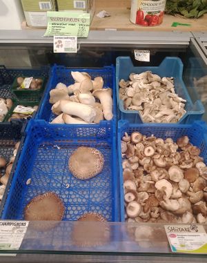   at De Aanzet in Amsterdam