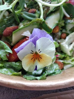 Cezar ze szparagami at Zjadliwości in Lodz