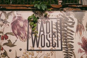 Collage wall with Zjadliwości logo at Zjadliwości in Lodz