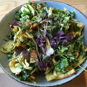 Green apple Sunfed salad at The Botanist in Wellington