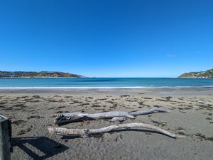 The view at The Botanist in Wellington