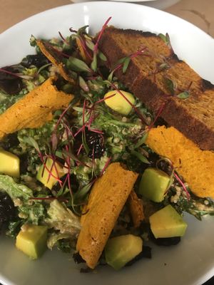 Quinoa salad  at De/Raiz Cocina Café - Calle 65 in Bogota