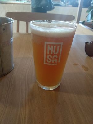 Musa craft beer at The Therapist - LxFactory in Lisbon