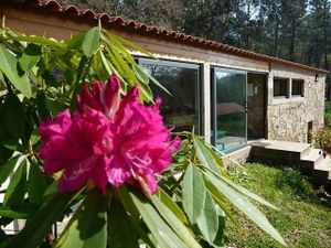The old farmhouse is now a guesthouse with two suites and one bedroom, has a fully equipped kitchen and cosy living room. at Quinta das Aguias in Paredes De Coura
