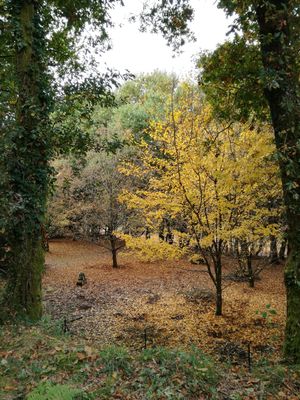 Quinta at Quinta das Aguias in Paredes De Coura