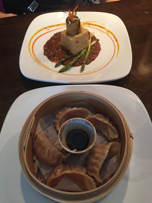 Starters: stuffed tofu and vege gyoza  at Lime in Galway