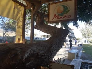 מאונה at Mauna - Vegan Kitchen in Mitzpe Ramon
