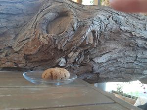 עוגיית טחינה at Mauna - Vegan Kitchen in Mitzpe Ramon