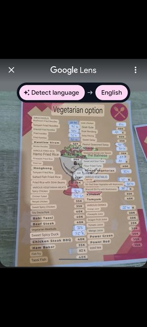  at Alay Vegetarian in Singaraja