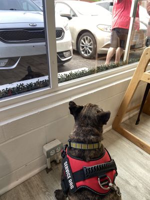 Sitting pretty and vegan at Branch Out in Paducah