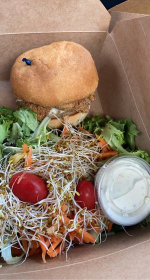   at Branch Out in Paducah