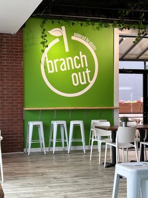   at Branch Out in Paducah