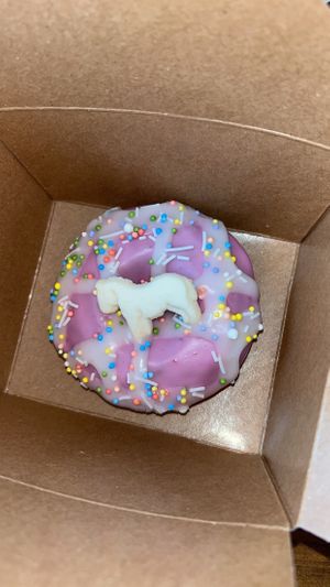   at Branch Out in Paducah