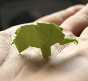   at Helecho in Medellin