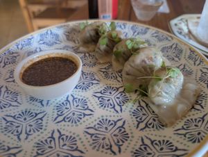Delicious gyoza at Helecho in Medellin