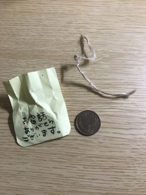 Phone coin  at Nyabinghi in Ikoma