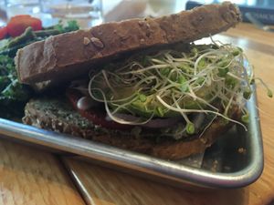 Avocado basil sandwich at Living Kitchen in Chapel Hill
