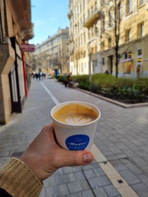 at Madal Coffee Co - Ferenciek Tere in Budapest