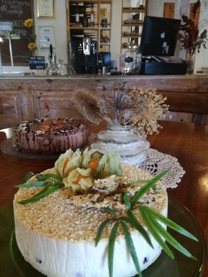 Vegan, sugarfree, raw sesamcake at Beguta Taimetoidukohvik in Haapsalu