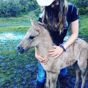 Pampero! at Refugio Lodge in Futaleufu