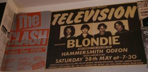 The Curly Cow at The Curly Cow in Witten