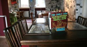 The Curly Cow at The Curly Cow in Witten