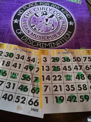 Bingo at Curley:s at The Curly Cow in Witten