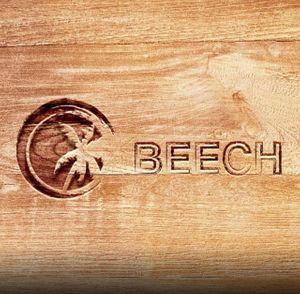 beech at Beech in Charleston