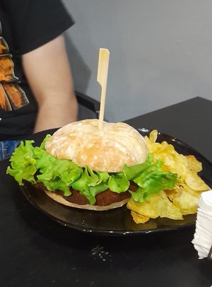  at El Halcón Milenario in Caceres