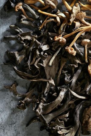 Mushrooms 2 at Nota Bene in Toronto