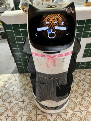 Robot wait staff cat  at Siam Purity in Broadbeach