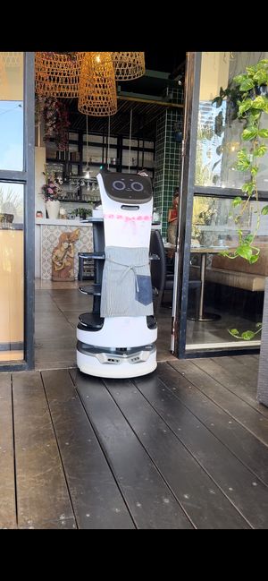Robot waitress  at Siam Purity in Broadbeach