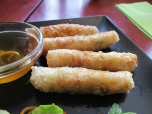 Nems at La Palanche d'Aulac in Paris