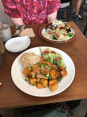 Tofu Stir Fry and Eggplant Stir Fry at Around Green - 어라운드 그린 in Seoul