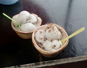 Kokoso-glaciaĵo kun arakidoj kaj kondensita lakto at Coconut Ice Cream in Battambang