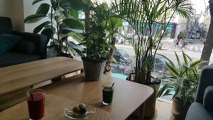 Fresh juices, plants and street view. at La Nouvelle Cantine in Paris